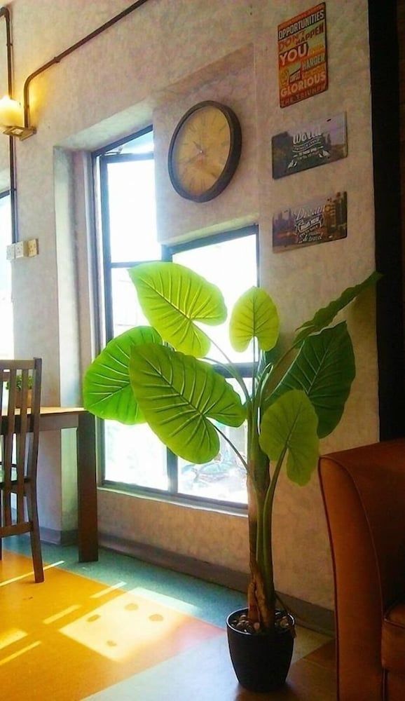 undefined Lavender Guesthouse - Hostel 9