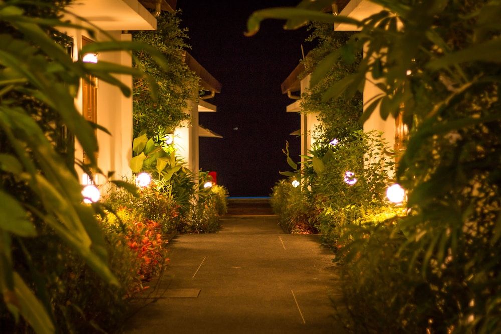 Land View from Property