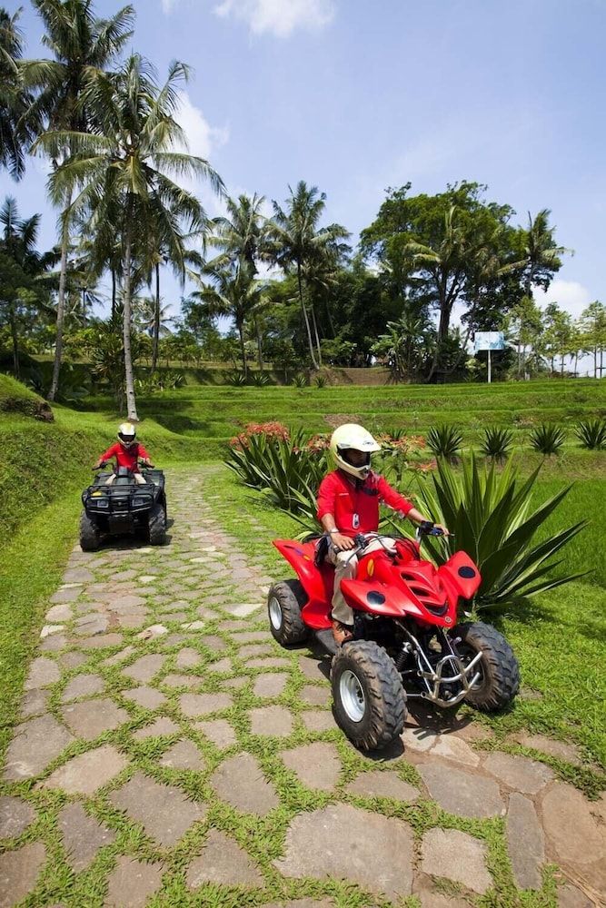 Children's Play Area