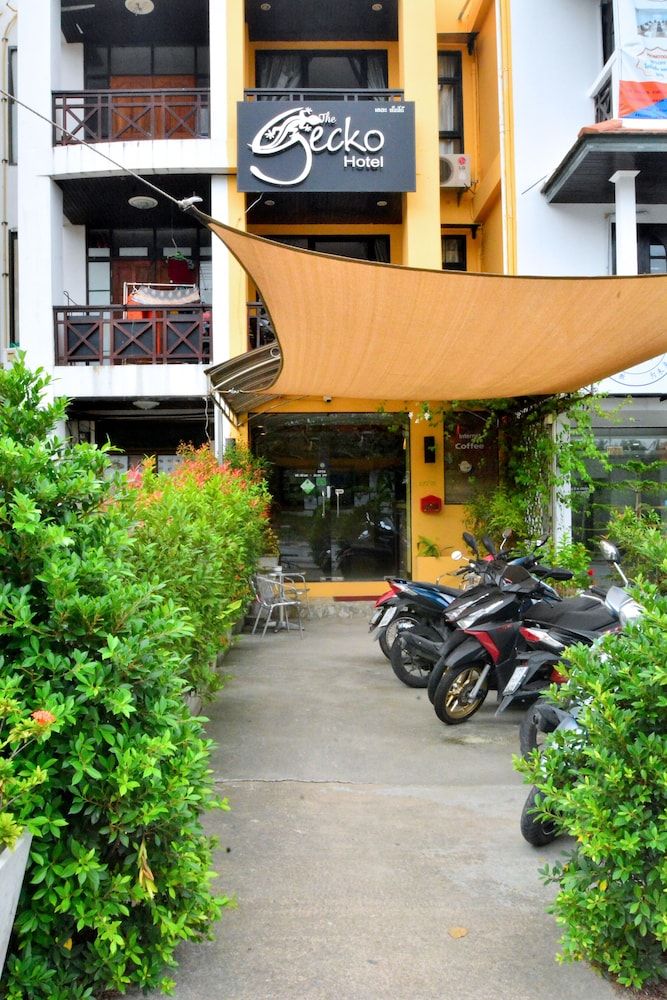 undefined Gecko Hotel 3