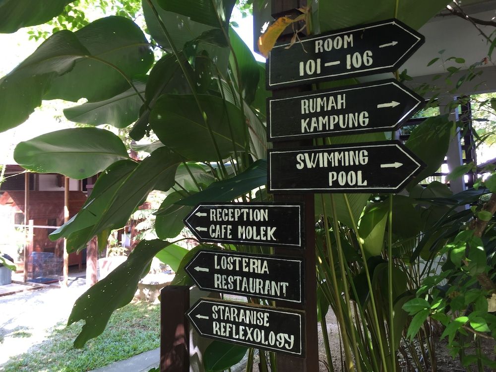 undefined Villa Molek 4