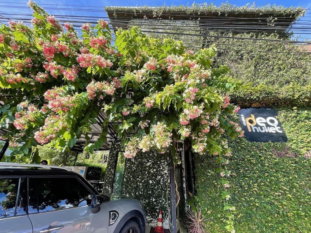 undefined Ideo Phuket Hotel 6