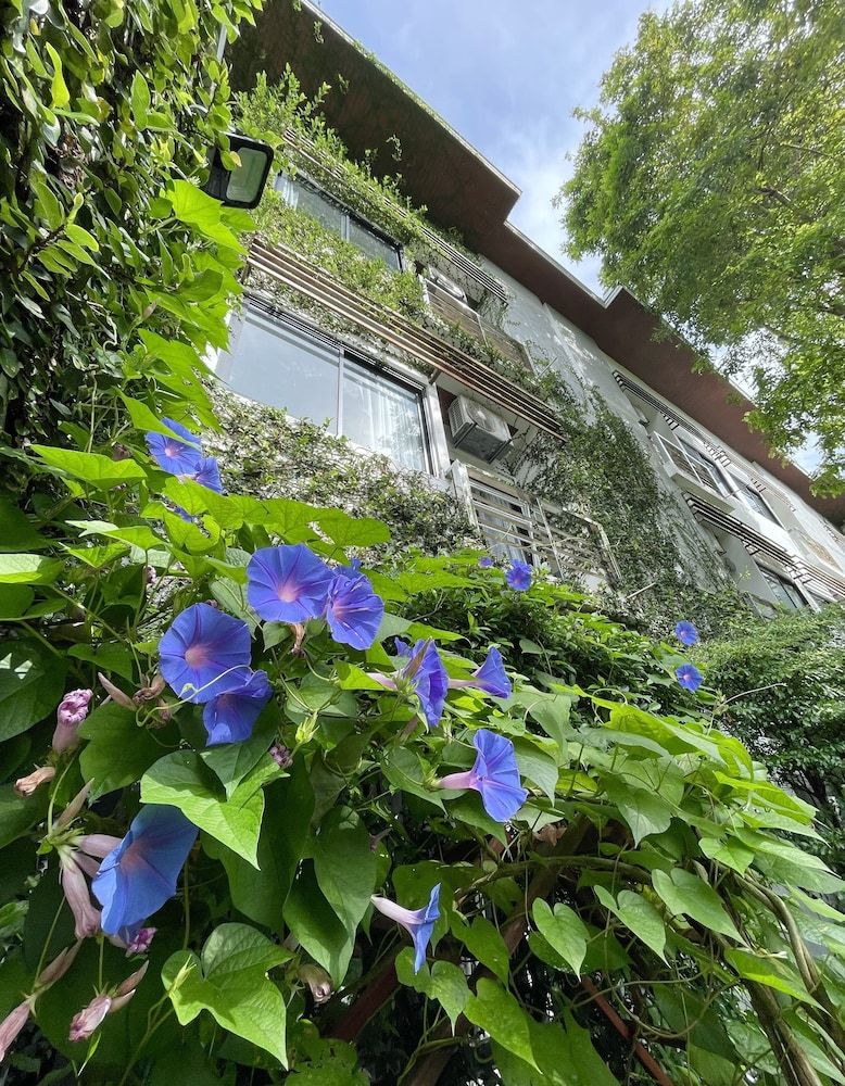 undefined Ideo Phuket Hotel 5