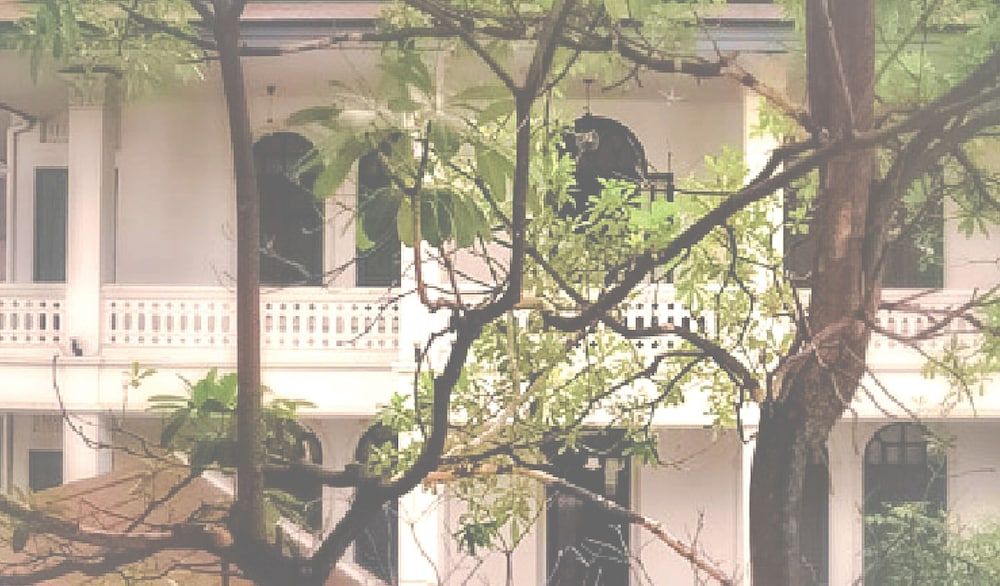 undefined Yesterday Hotel 10