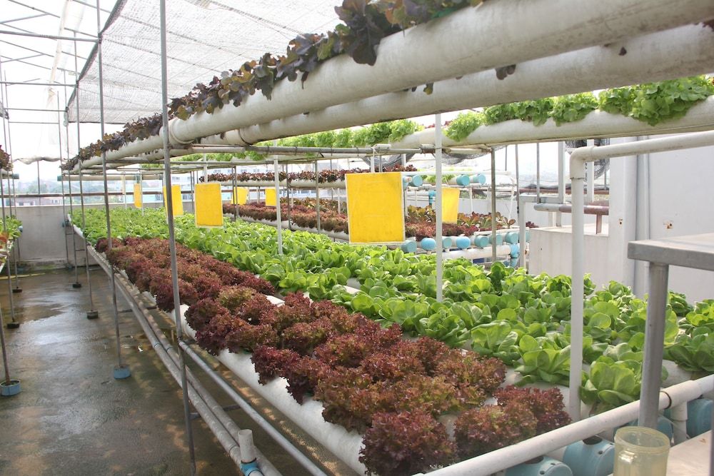 undefined Bansabai Hostel 8