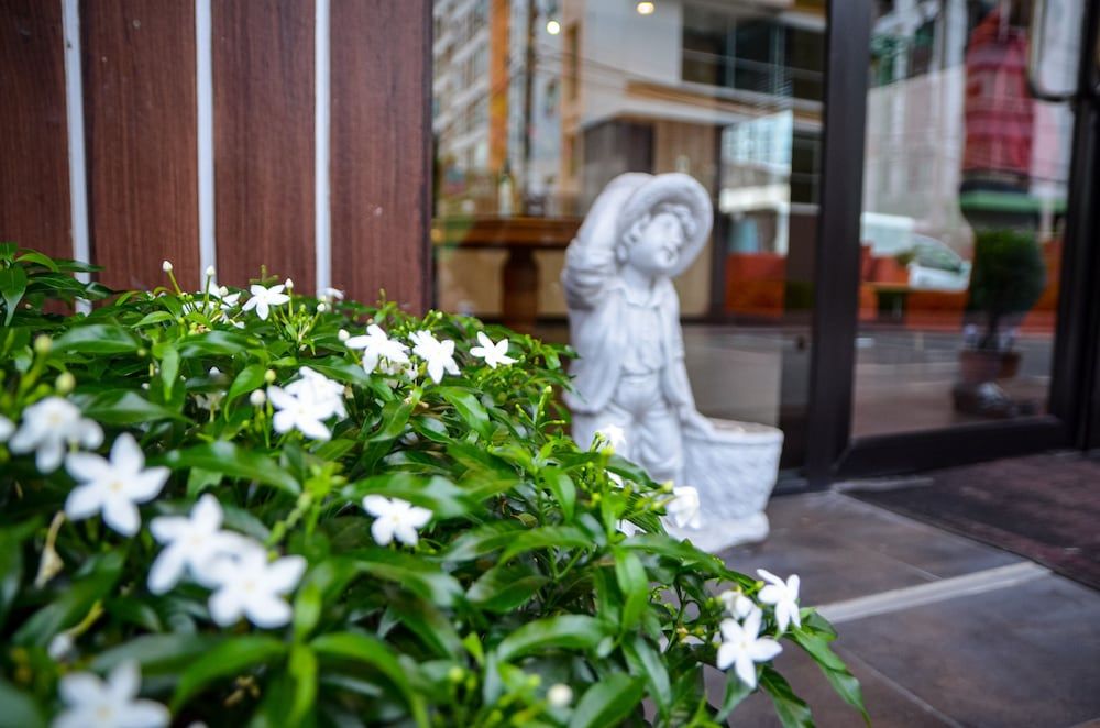 undefined Marsi Hotel 7