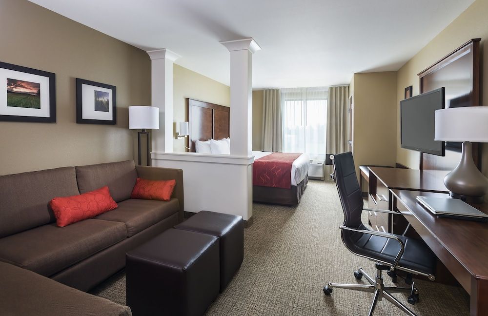 Suite, 1 King Bed with Sofa bed, Accessible, Non Smoking