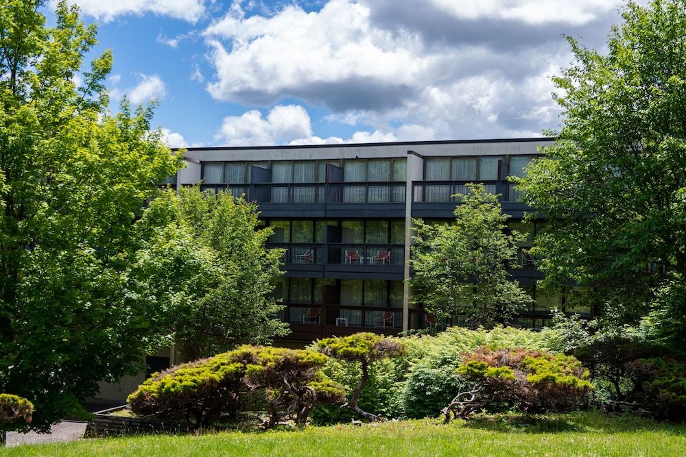 Mountain Laurel Resort