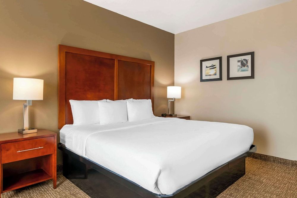 Room, 1 King Bed, Accessible, Non Smoking