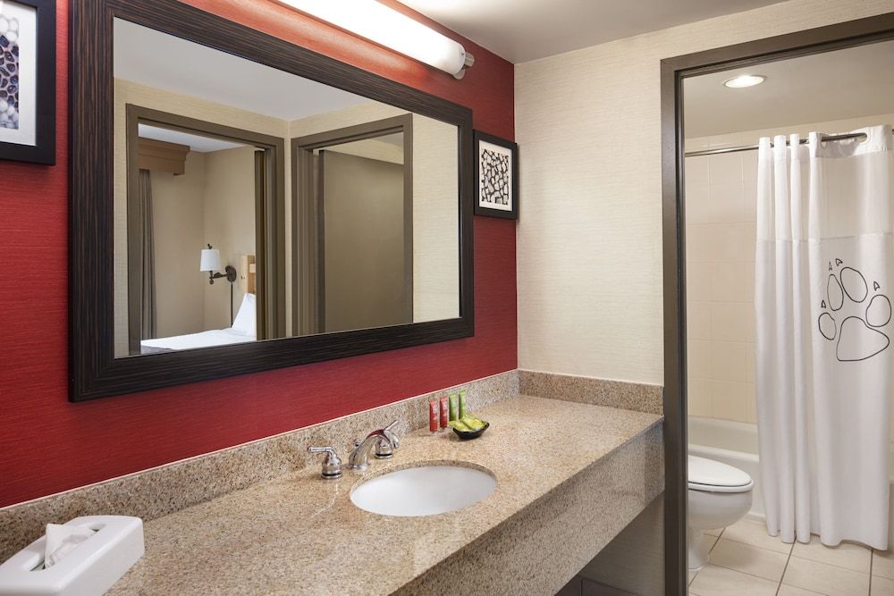 Great Wolf Lodge Boston / Fitchburg, MA Grizzly Wolf Den Suite - Water Park Included 9