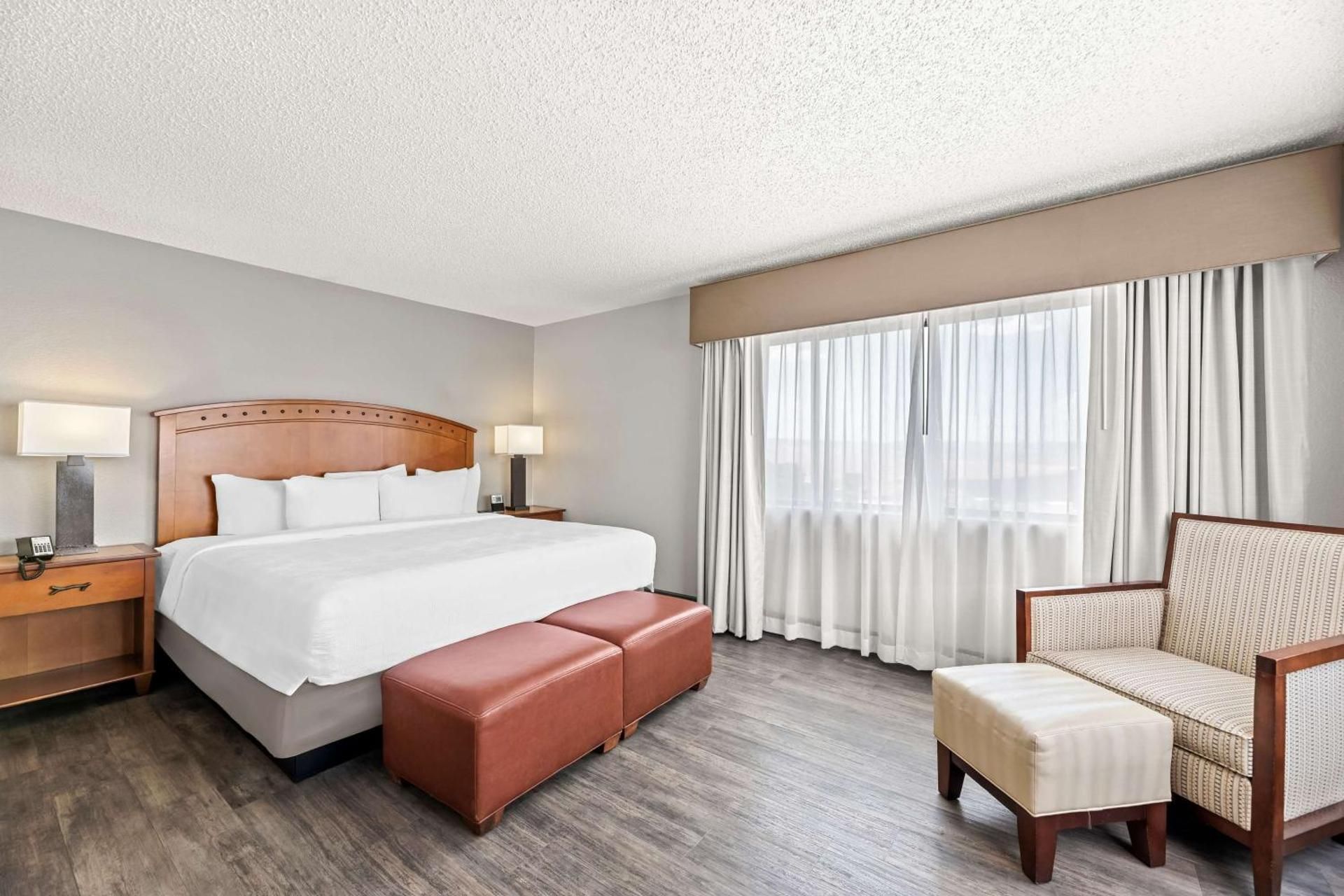 Suite - 1 King Bed, Nonsmoking, Couch