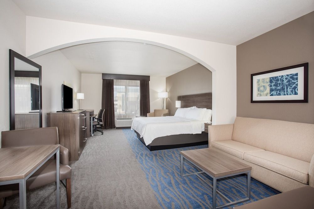 Suite, 1 King Bed with Sofa bed