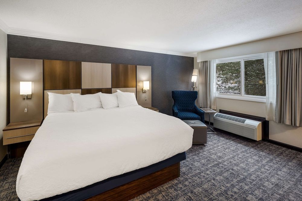 Standard Room, 1 King Bed, Non Smoking, Refrigerator & Microwave