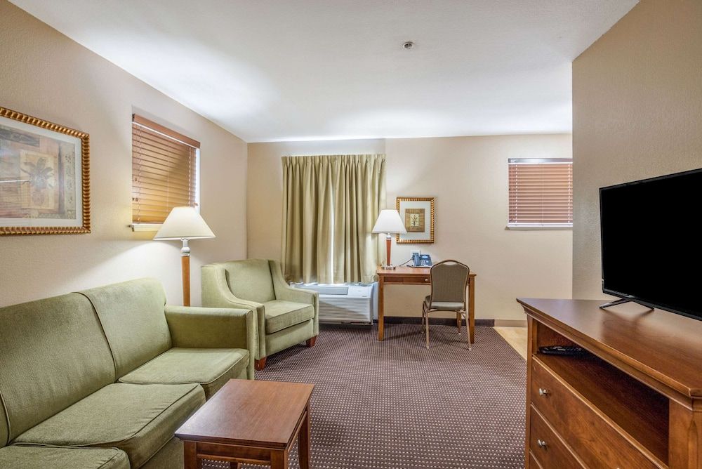 Suite, 1 King Bed with Sofa bed, Accessible, Non Smoking (Efficiency)