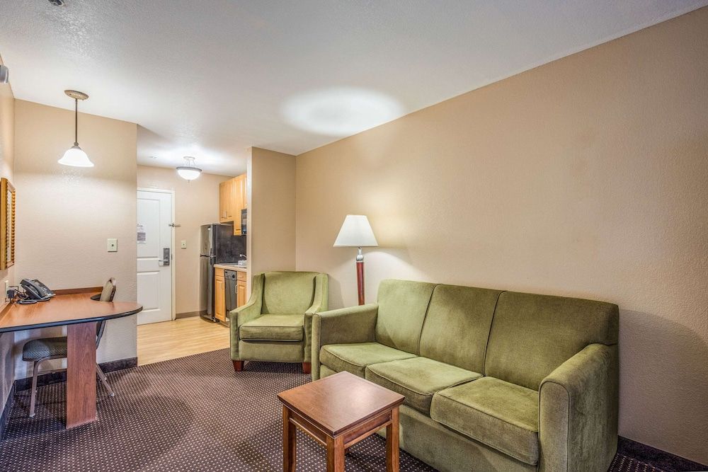 Suite, 1 King Bed with Sofa bed, Accessible, Non Smoking (Efficiency)
