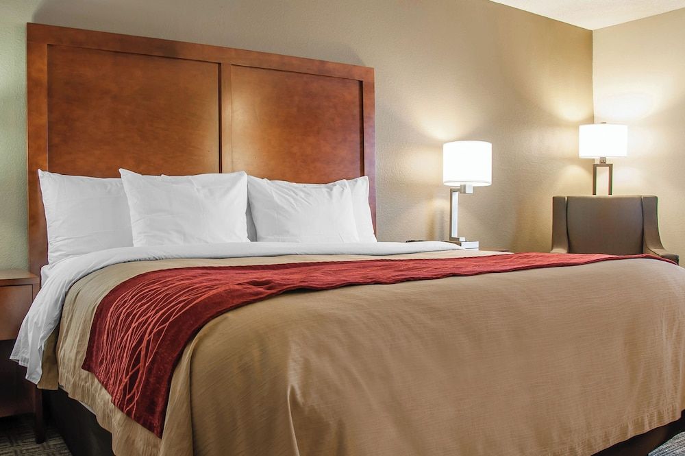 Suite, 1 King Bed with Sofa bed, Accessible, Non Smoking (Efficiency, Upgrade)