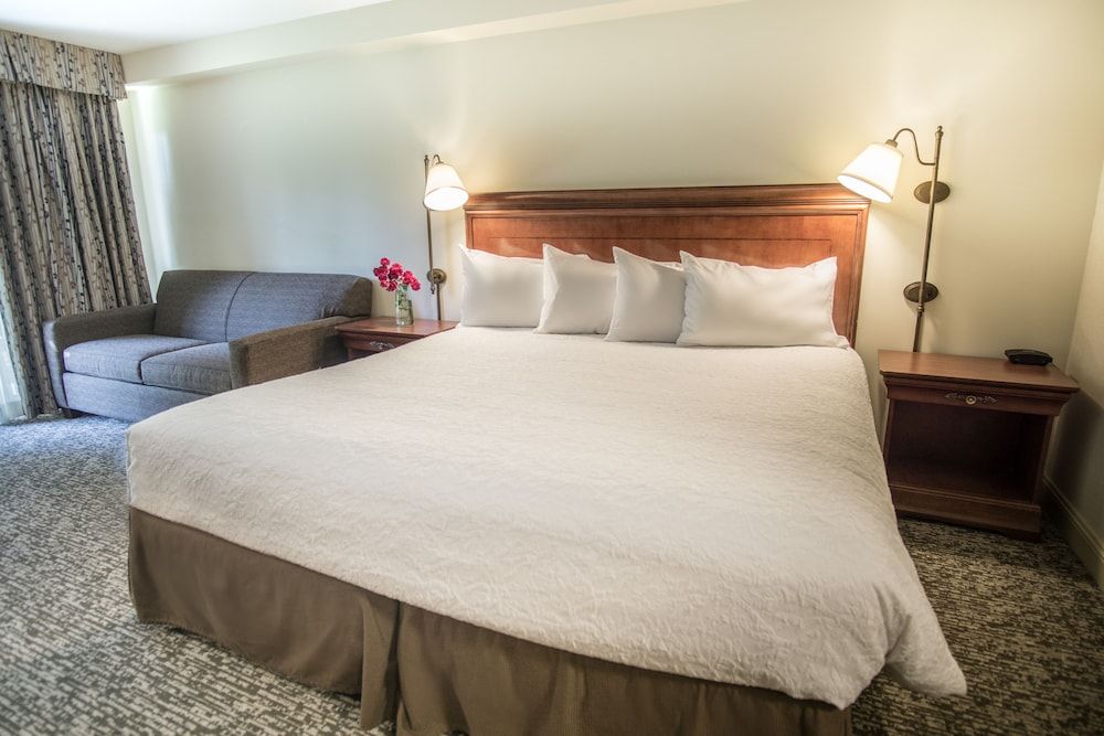 Deluxe Room, 1 King Bed, Non Smoking