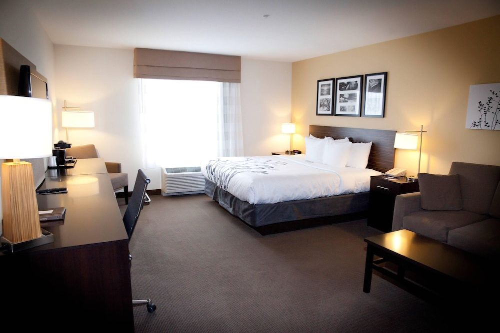 Suite, 1 King Bed with Sofa bed, Non Smoking