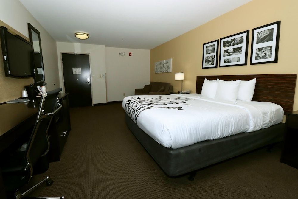 Suite, 1 King Bed with Sofa bed, Accessible, Non Smoking