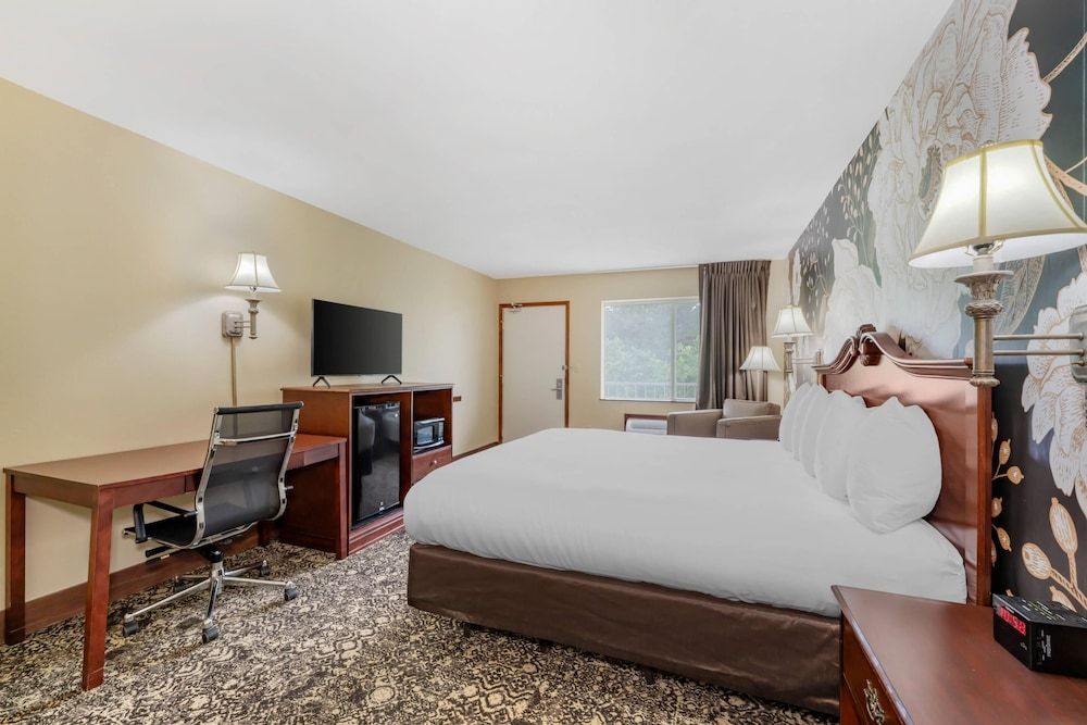 Double or Twin Room, 1 King Bed