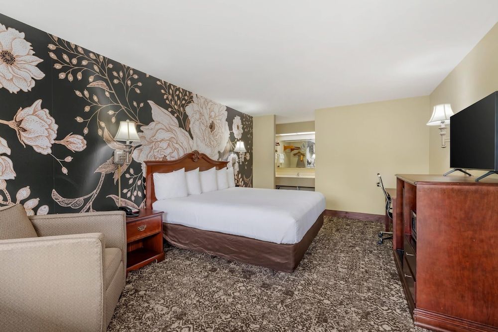 Double or Twin Room, 1 King Bed