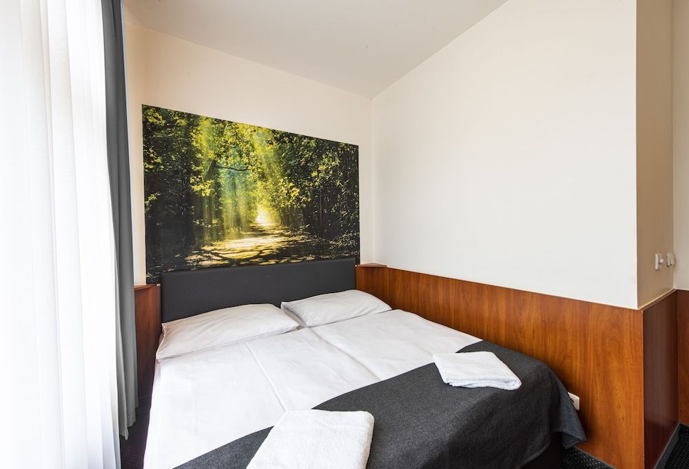 Hotel Zlatá Váha Standard Double Room 2