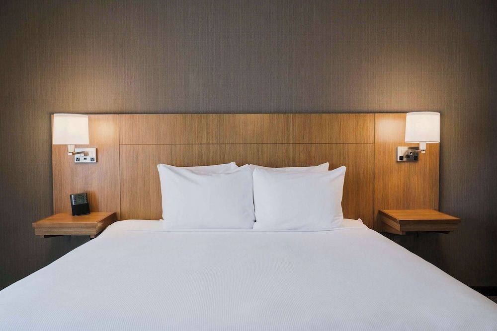 Basic Room, 1 King Bed with Sofa bed