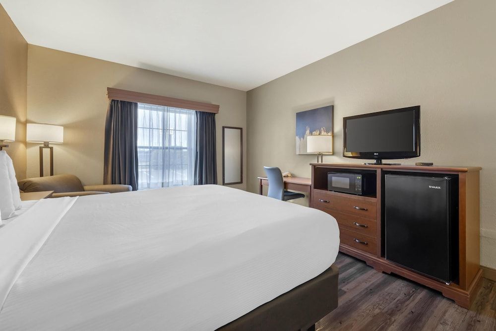 Standard Room, 1 King Bed, Non Smoking, Refrigerator & Microwave (Pet Friendly)