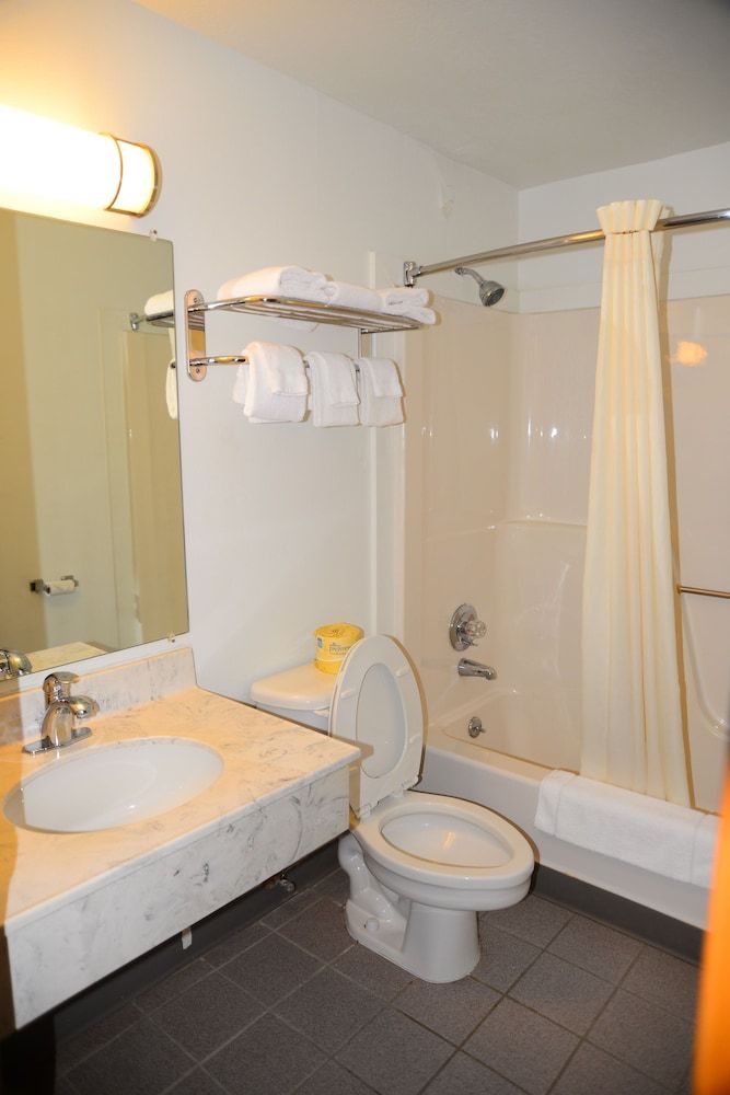 Studio Suite