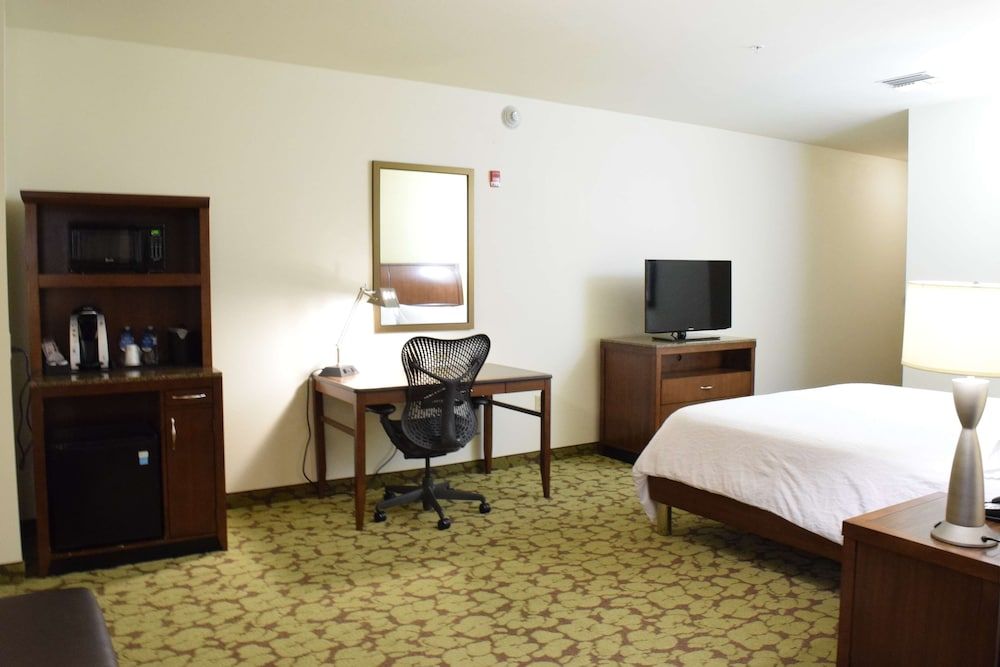 Room, 1 King Bed, Accessible (Rollin Shower)