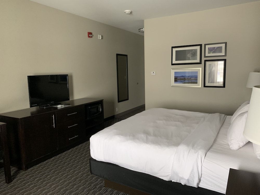 Room, 1 King Bed, Non Smoking