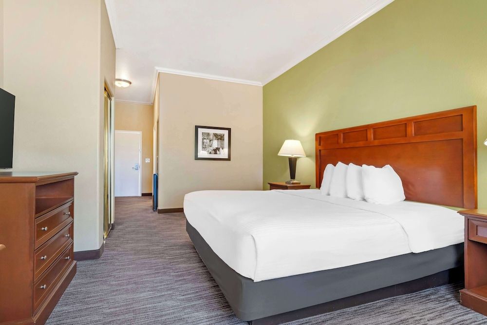 Best Western Hebbronville Inn Standard Room, 1 King Bed, Non Smoking, Refrigerator & Microwave 2