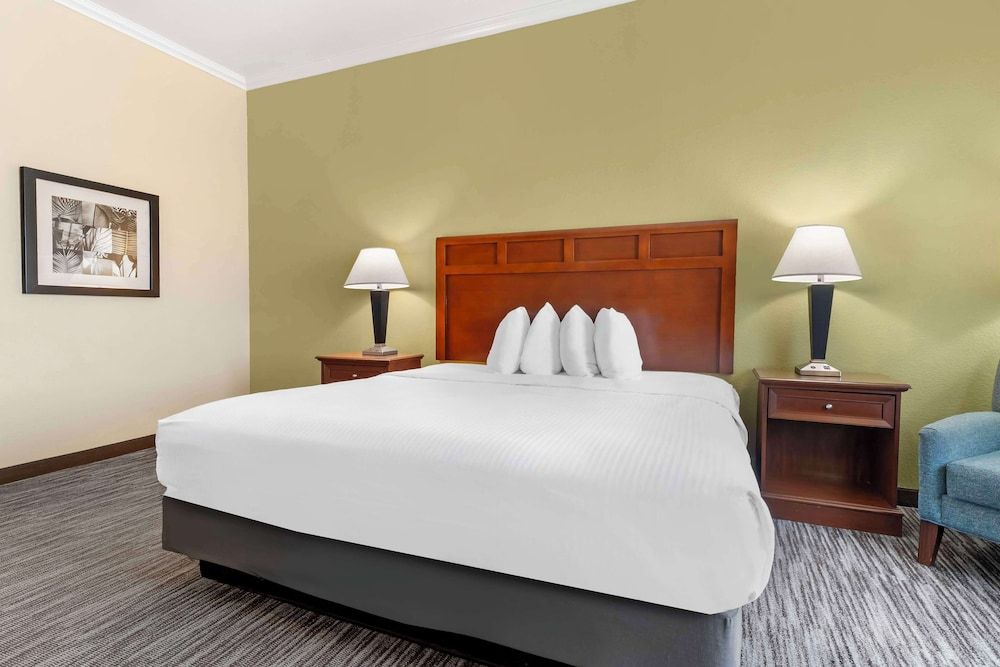 Best Western Hebbronville Inn Standard Room, 1 King Bed, Non Smoking, Refrigerator & Microwave
