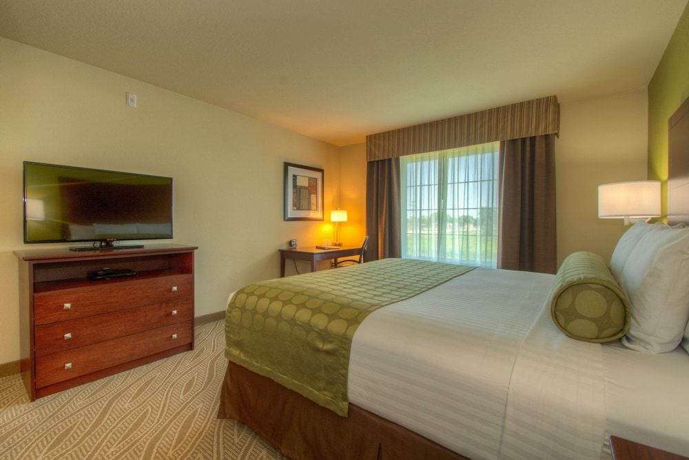 Room, 1 King Bed, Non Smoking