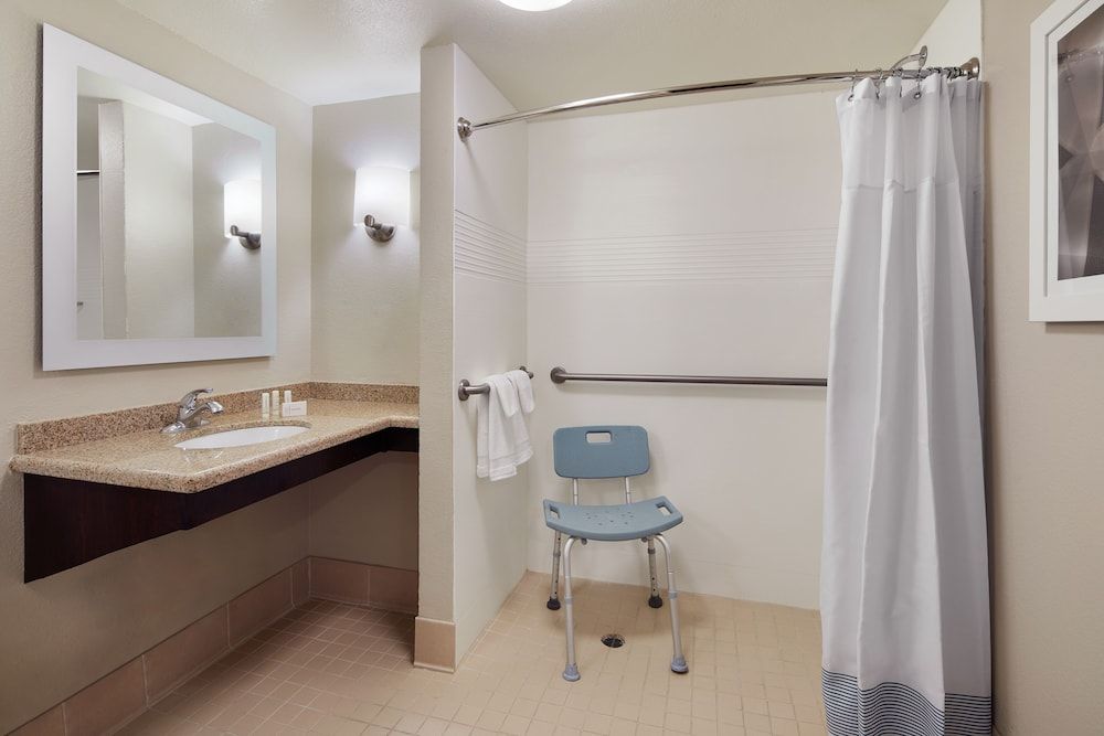 Studio Suite, 1 King Bed with Sofa bed (Mobility Accessible, Roll-In Shower)