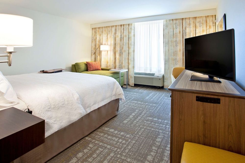 1 King Bed ,Hearing Accessible Room with Sofa Bed
