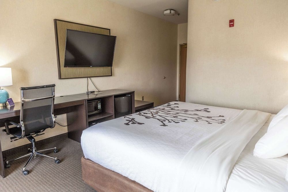 Room, 1 Queen Bed, Accessible, Non Smoking