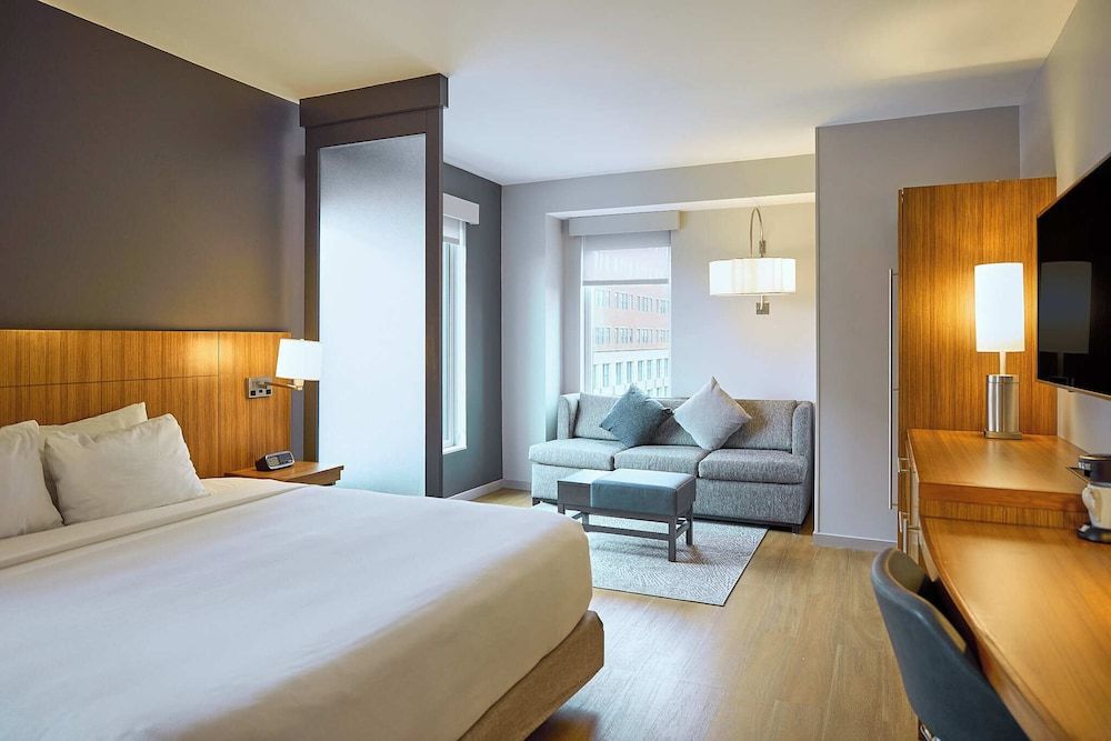 Suite, 1 King Bed with Sofa bed
