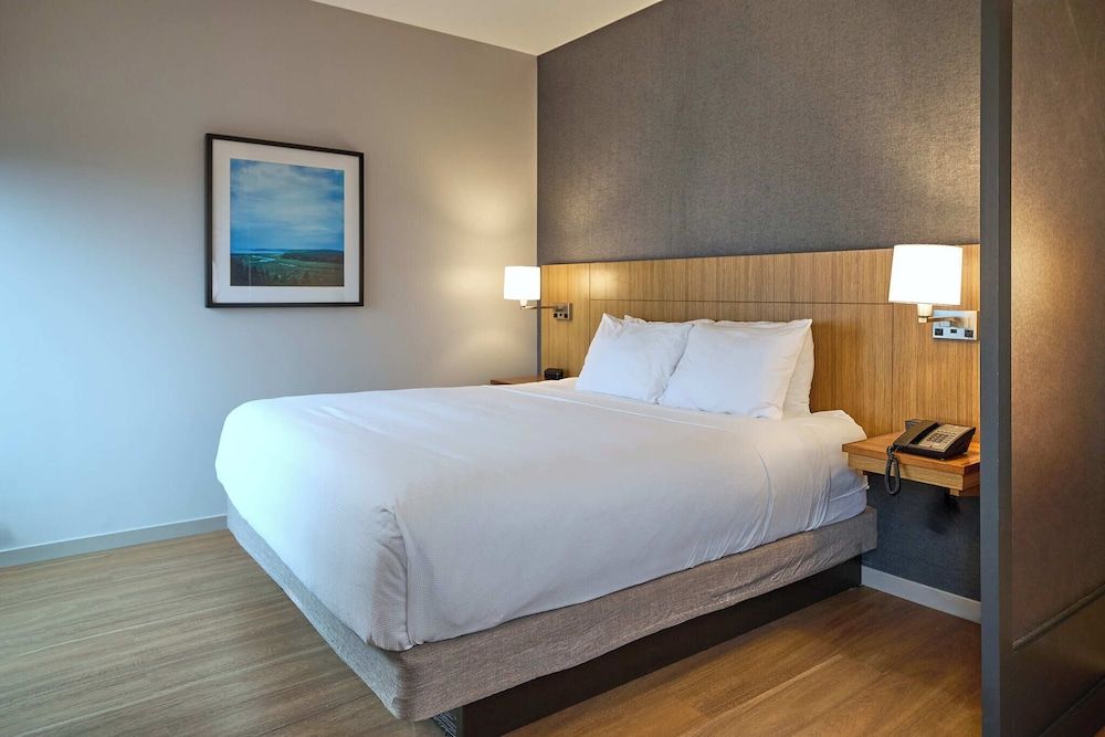 Room, 1 King Bed with Sofa bed (High Floor)