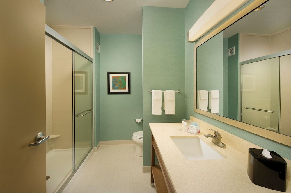 Room, 1 King Bed, Accessible (Roll In Shower)