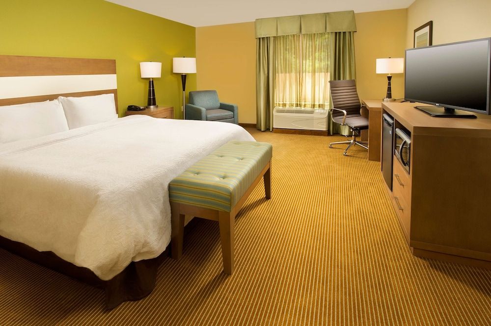 Room, 1 King Bed, Accessible, Non Smoking