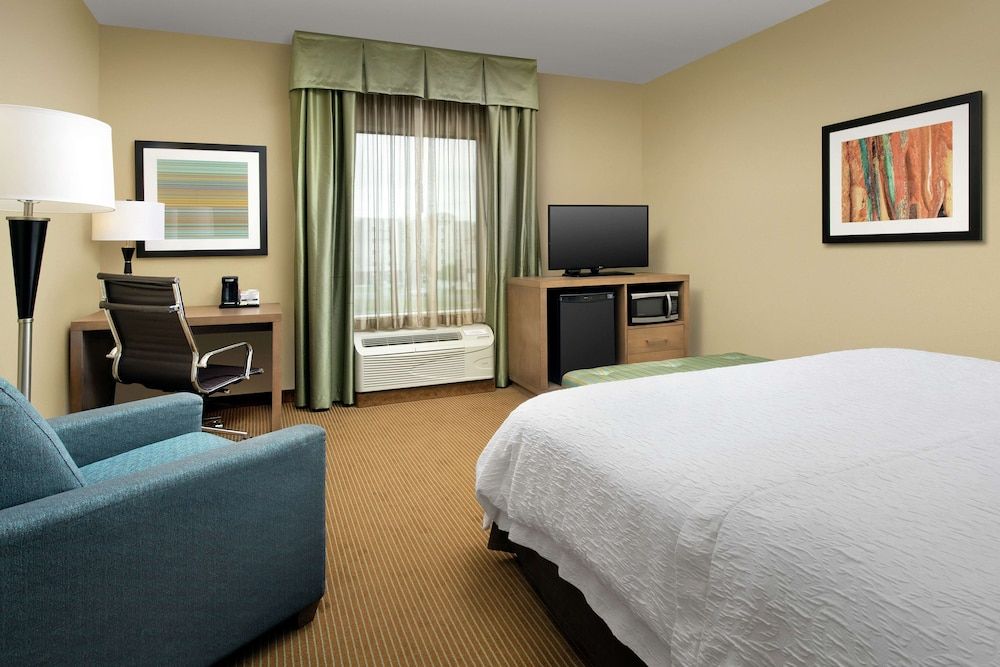 Room, 1 King Bed