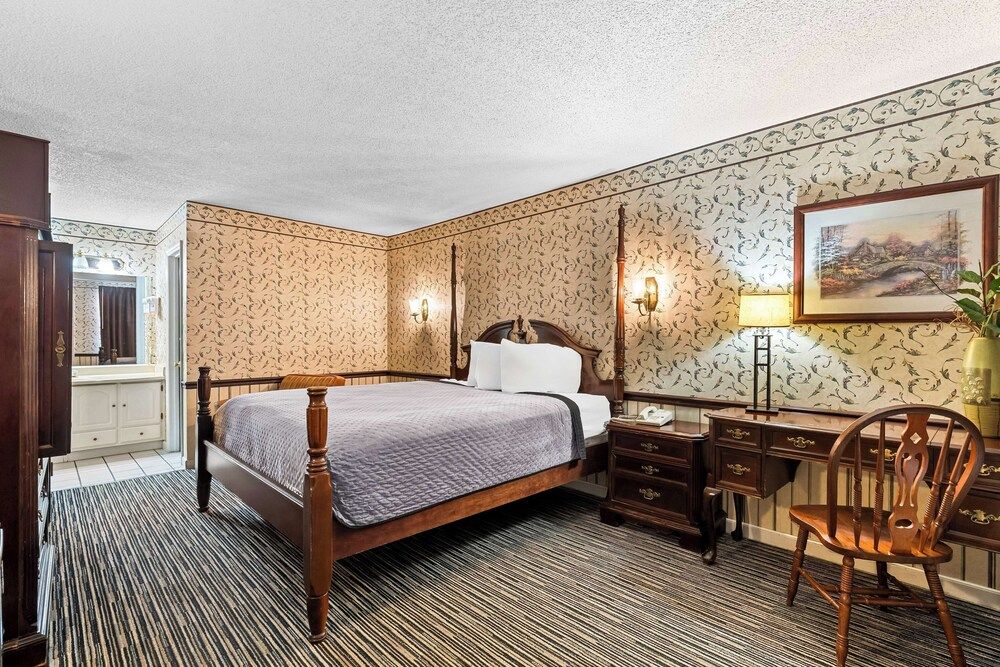 Room, 1 King Bed, Non Smoking
