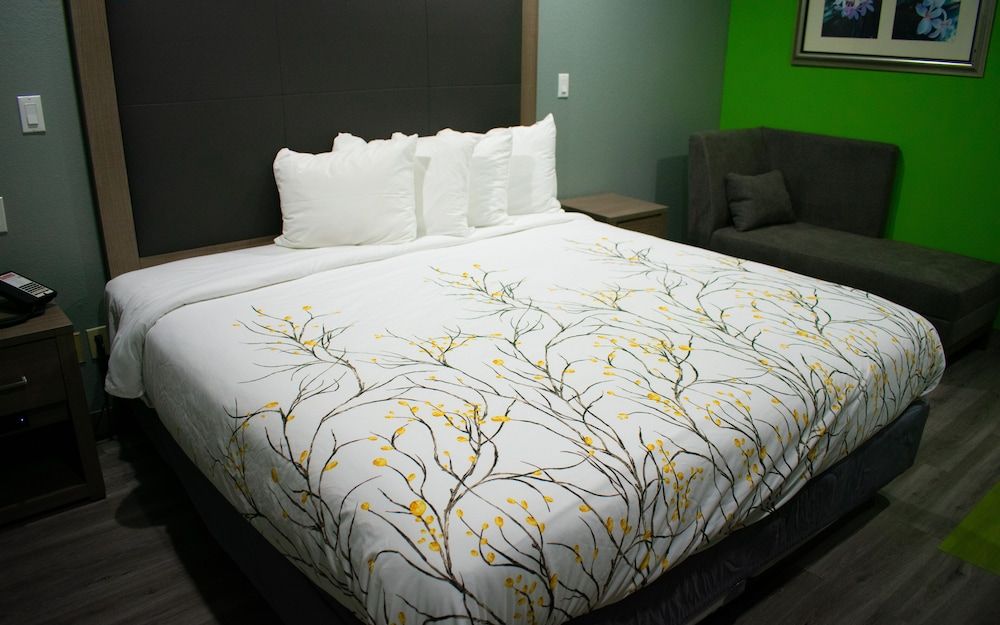 Fort Davis Inn & R.V. Park Executive Room, 1 King Bed, Non Smoking