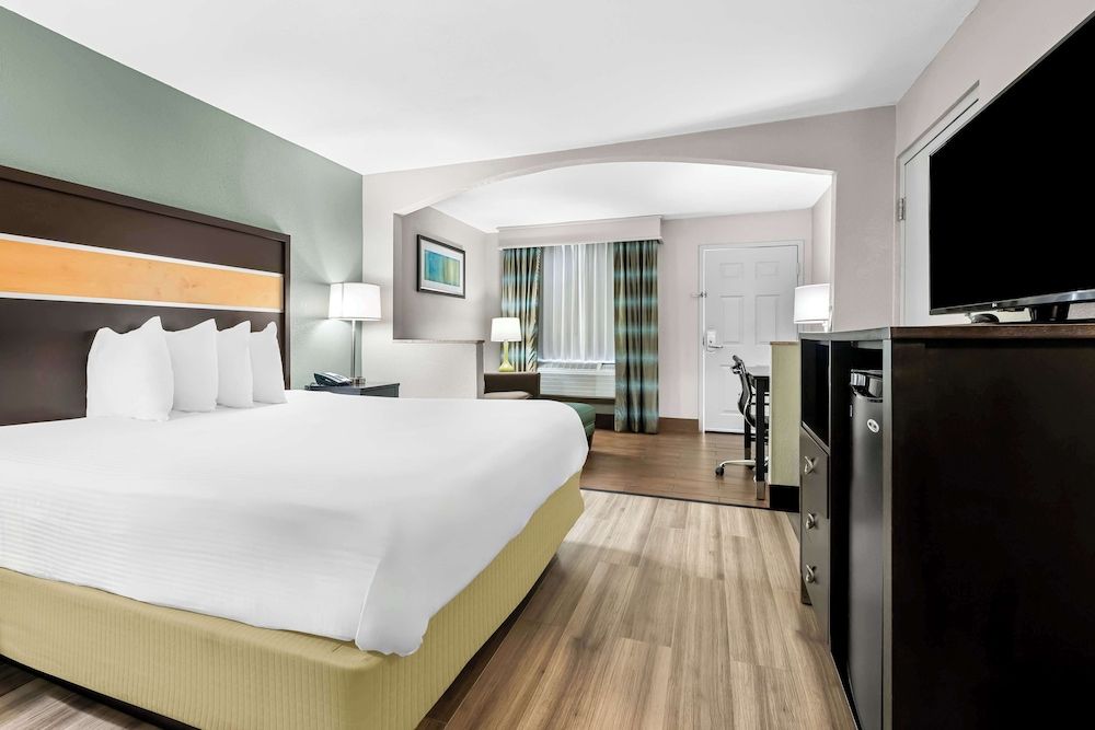 Standard Room, 1 King Bed, Smoking, Refrigerator & Microwave
