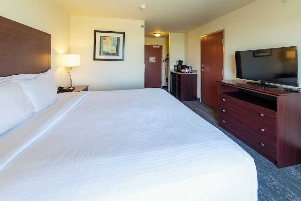 Room, 1 King Bed, Non Smoking