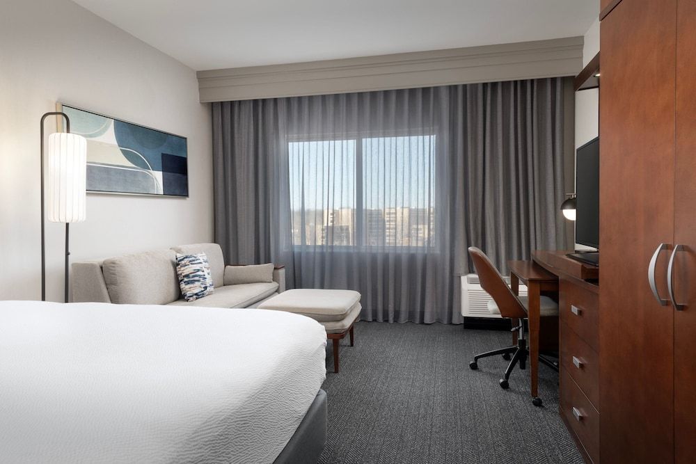 Room, 1 King Bed with Sofa bed (Mobility Accessible, Tub)