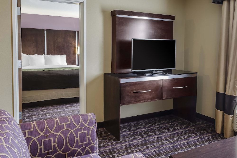 Suite, 1 King Bed with Sofa bed, Non Smoking