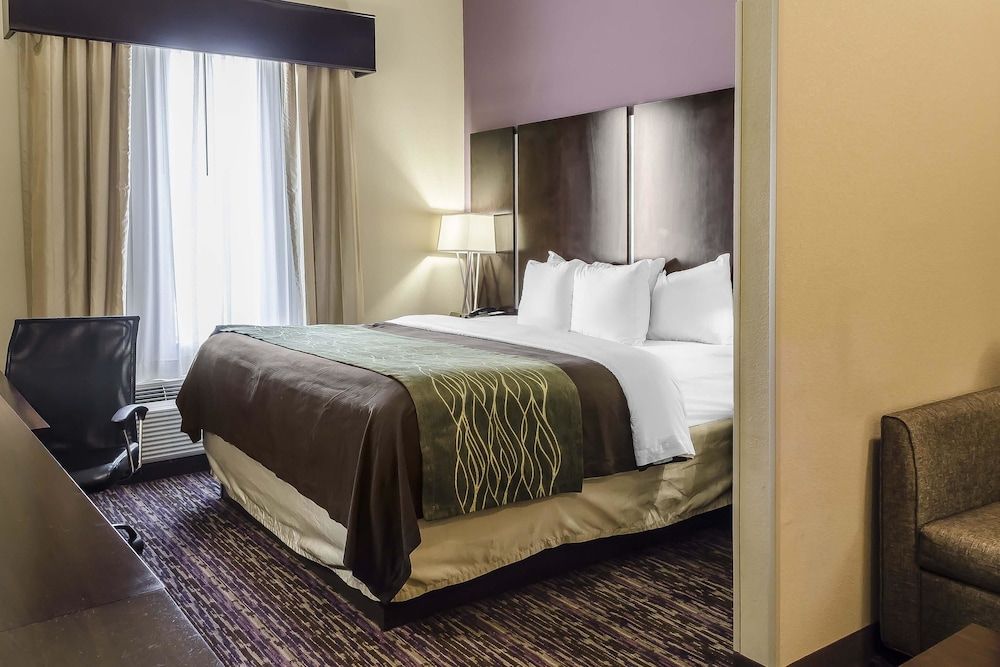 Suite, 1 King Bed with Sofa bed, Non Smoking