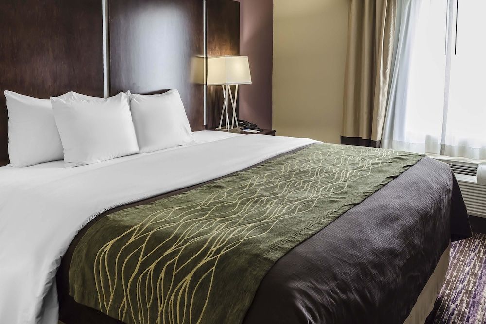 Standard Room, 1 King Bed, Non Smoking